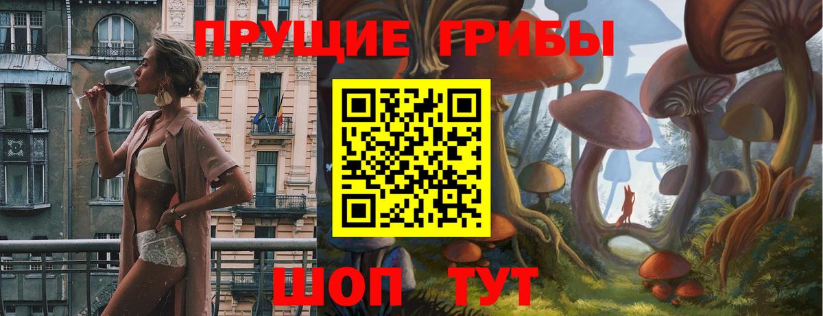Нягань  Псилоцибиновые грибы прущие грибы  Вход с VPN 