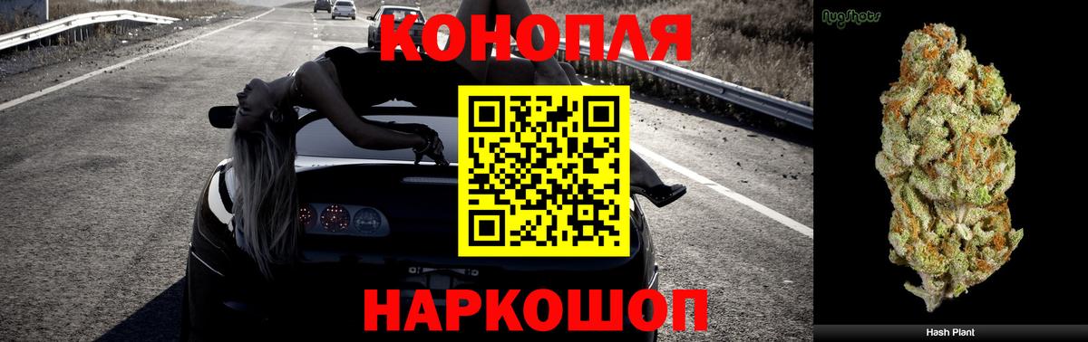 Каннабис OG Kush Нягань